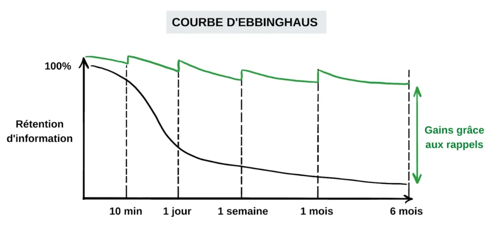 Courbe d'erringhaus pour la formation commerciale - eagr